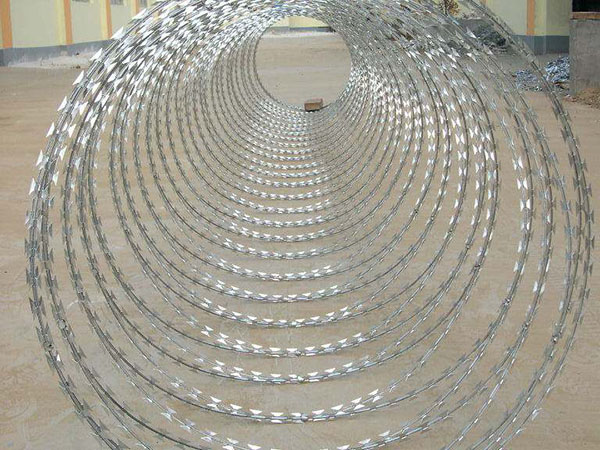 刺絲滾籠 - 安平縣秉德絲網制品有限公司圖片2