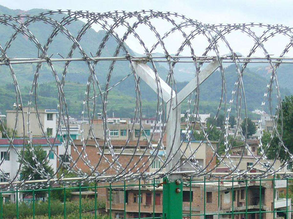 刺絲滾籠 - 安平縣秉德絲網制品有限公司圖片3