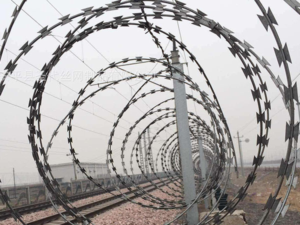 刺絲滾籠 - 安平縣秉德絲網制品有限公司圖片4