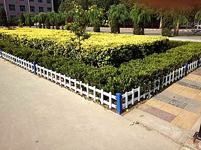 草坪護欄 - 安平縣秉德絲網(wǎng)制品有限公司圖片3